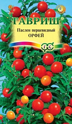 Паслен