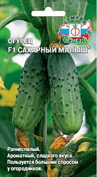ogurets_sakharnyy_malysh_f1