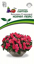 Бальзамин корал лейс