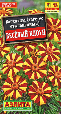Бархатцы Веcелый клоун отклоненные_ЦП