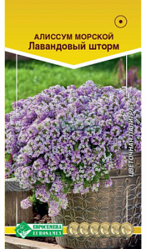 Алиссум Лавандовый Шторм