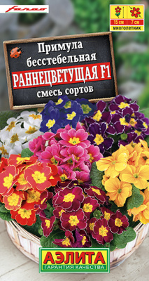 Примула Раннецветущая F1, смесь окрасок_ЦП