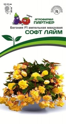 Бегония софт лайм