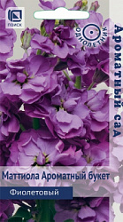mattiola_aromatniy_buket_fioletoviy