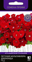 petunia_multiflora_joconda_red