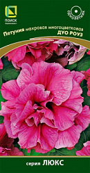 petunia_mahrov_mnogocvet_duo_rouz