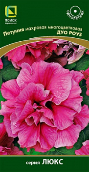 petunia_mahrov_mnogocvet_duo_rouz