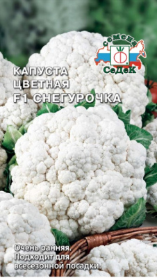 kapusta_snegurochka_f1