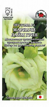 Лайм грин