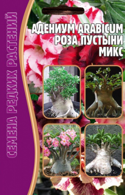 Роза пустыни