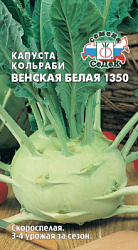 kapusta_venskaya_belaya_1350