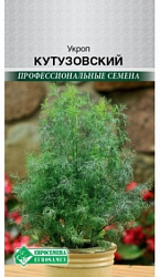Кутузовский