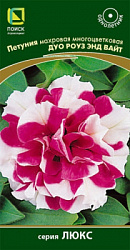 petunia_mahrov_mnogocvet_duo_rouz_and_white