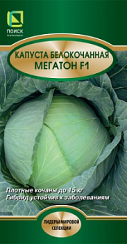 kapusta_belokoch_megaton_f1
