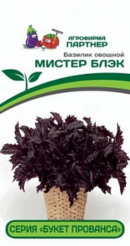 Базилик Мистер блэк