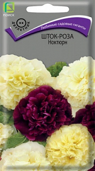 Шток-роза Ноктюрн