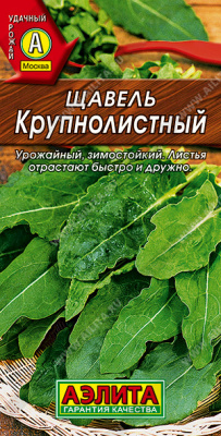 Щавель крупнолистный