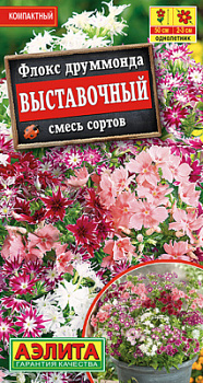 Флокс Выставочный, смесь сортов_ЦП