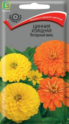 Цинния изящная Янтарный микс
