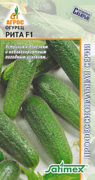 Огурец Рита-st