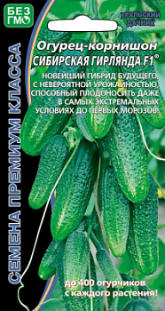 Сибирская гирлянда