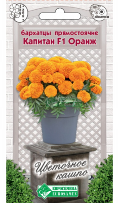 Бархатцы Капитан Оранж