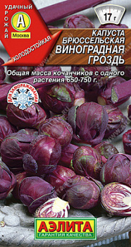 Виноградная гроздь