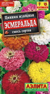 Цинния Эсмеральда