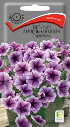 petunia_ampel_opera_parpl_vein