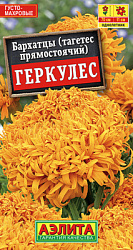 Бархатцы Геркулес прямостоячие_ЦП