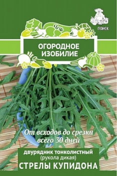 Dvuryadnik tonkolistnyj Strely Kupidona OIZ