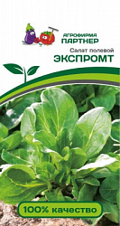 Салат экспромт