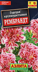 Годеция Рембрандт