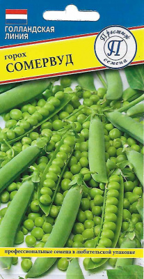 goroh_somervud