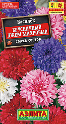 Василек Брусничный джем махровый, смесь сортов_ЦП