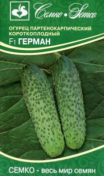 Огурец Герман