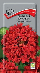 Гайлардия красивая Лоллипап Красная