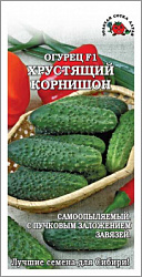 Огурец хрустящий корнишон