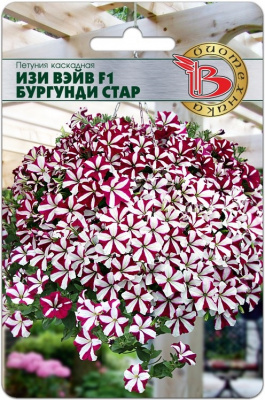 Бургунди стар