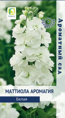 mattiola_aromagiya_belaya