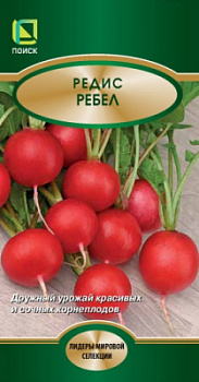 redis_rebel