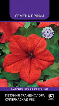 petunia_grandiflora_superkaskad_red