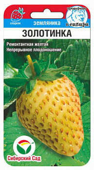 Земляника Золотинка