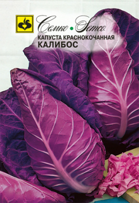 kapusta_krasnokochannaya_kalibos