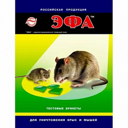 00000002331_1