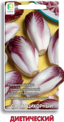 salat_cikorny_dietichesk