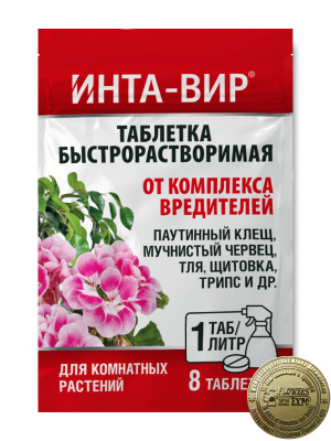 2gyztv4iklfygv533mv1760qg73vy5c5