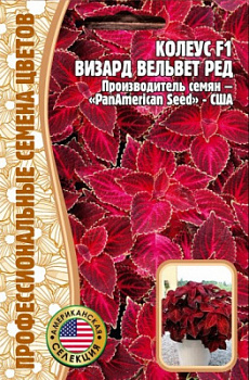 Колеус визард вельвет