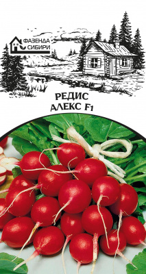 redis-alex-faz-78-04-ru