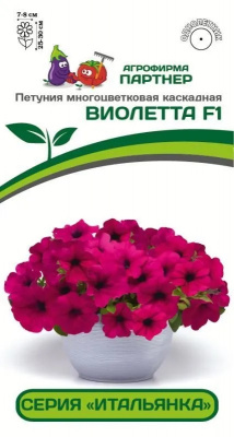Петуния виолетта